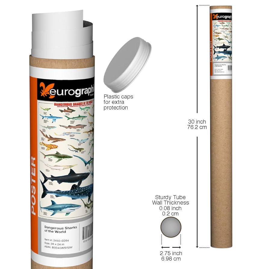 Amazon.com: EuroGraphics Dangerous Sharks Poster, 36 x 24 in